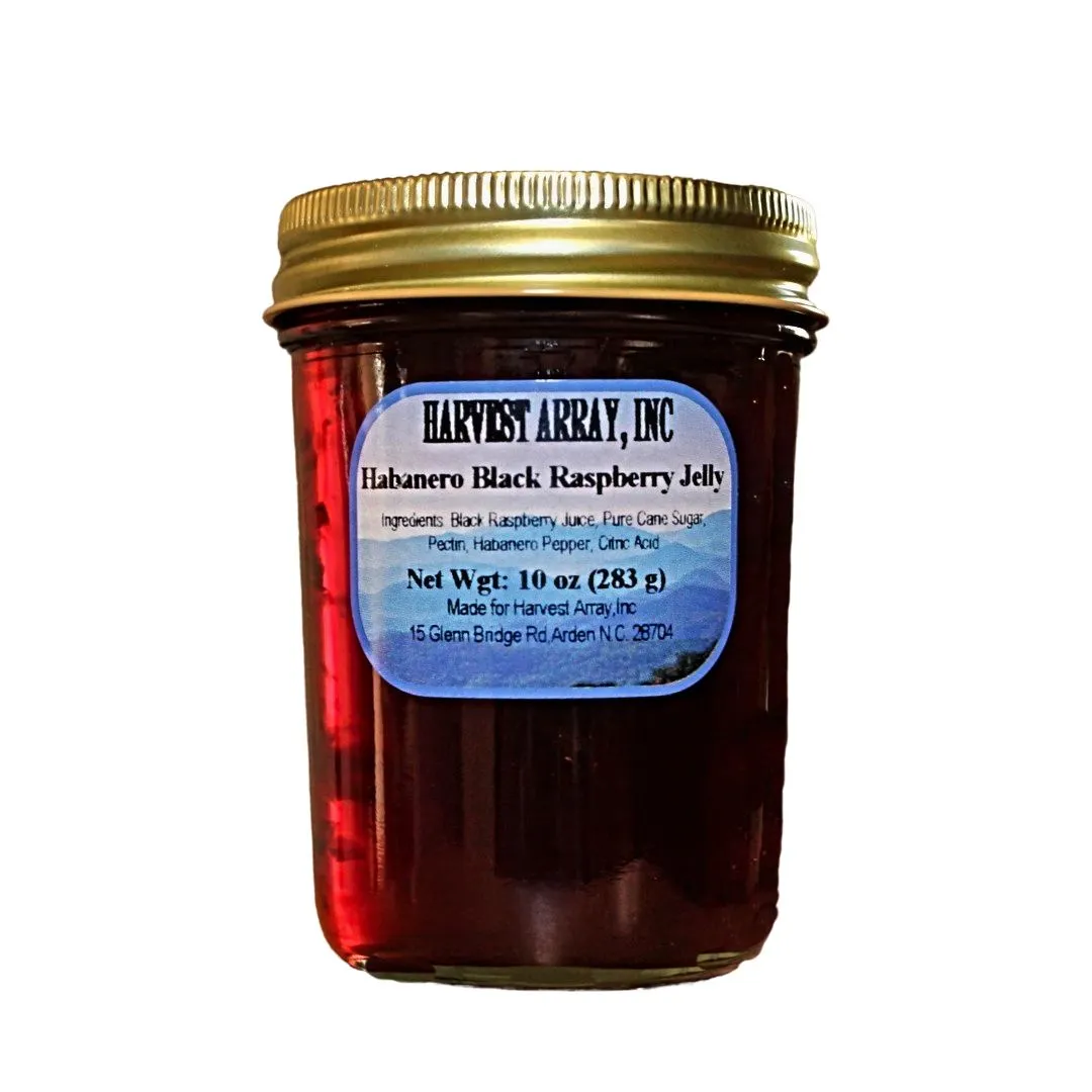 Blue Ridge Jams Habanero Black Raspberry Jelly