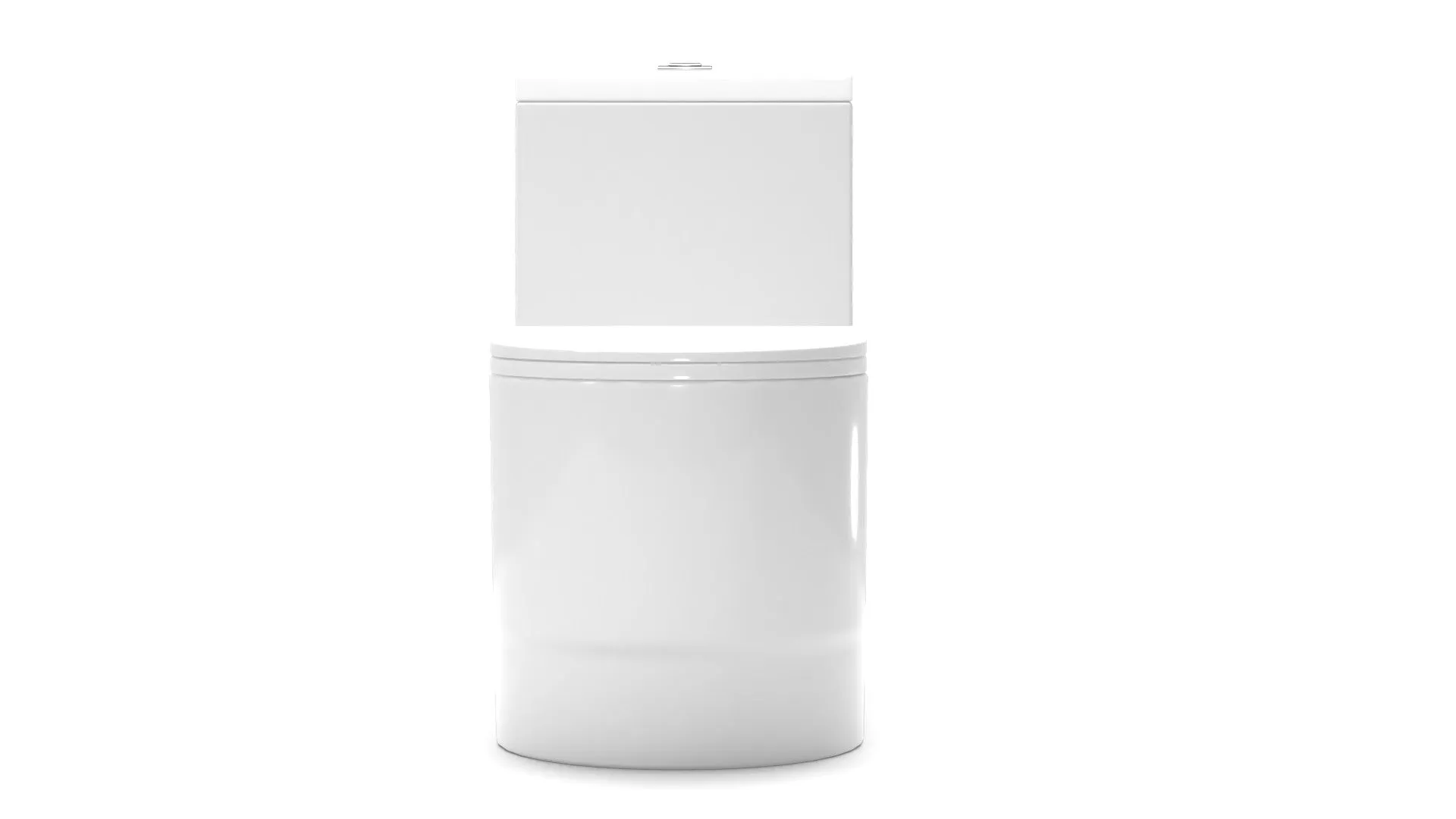 Dual Flush Elongated One Piece Toilet Seat Included