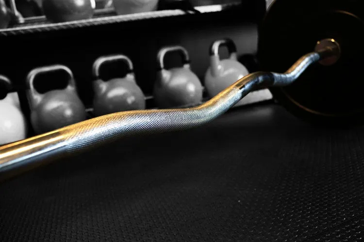 Easy Curl Olympic Bar