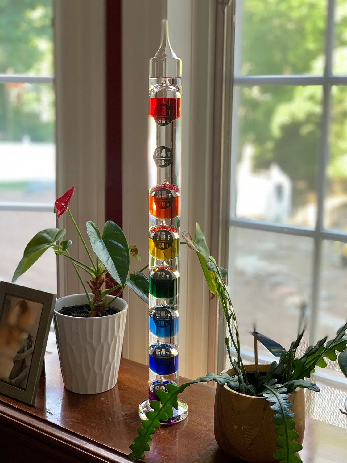 EASY READ 23" Tall Galileo Thermometer