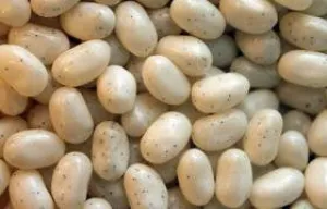 Gimbal's Gourmet Jelly Bean French Vanilla in Bulk 10LB