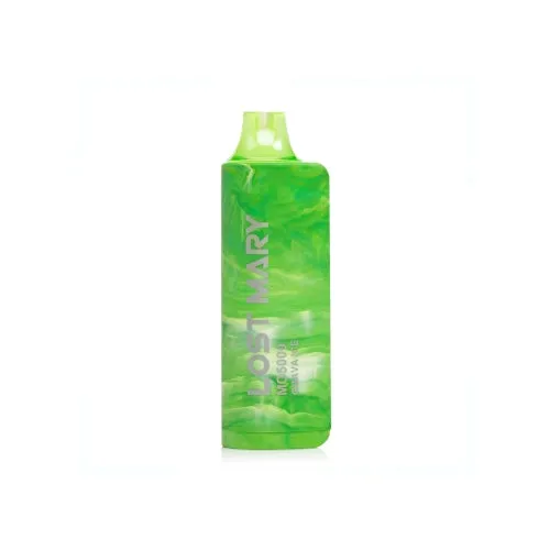 LOST MARY MO5000 DISPOSABLE VAPE