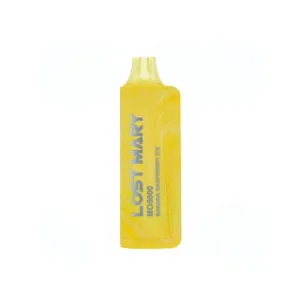 LOST MARY MO5000 DISPOSABLE VAPE