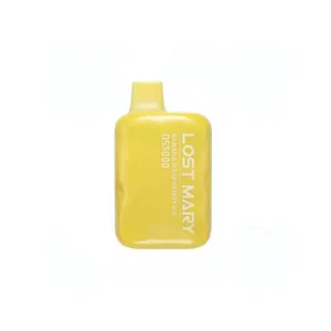 LOST MARY OS5000 DISPOSABLE VAPE