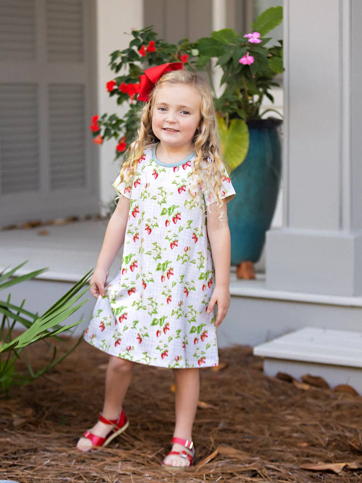 Mary Chase Sweet Strawberry Dress