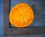 Mary Reynold's Orange Tomato