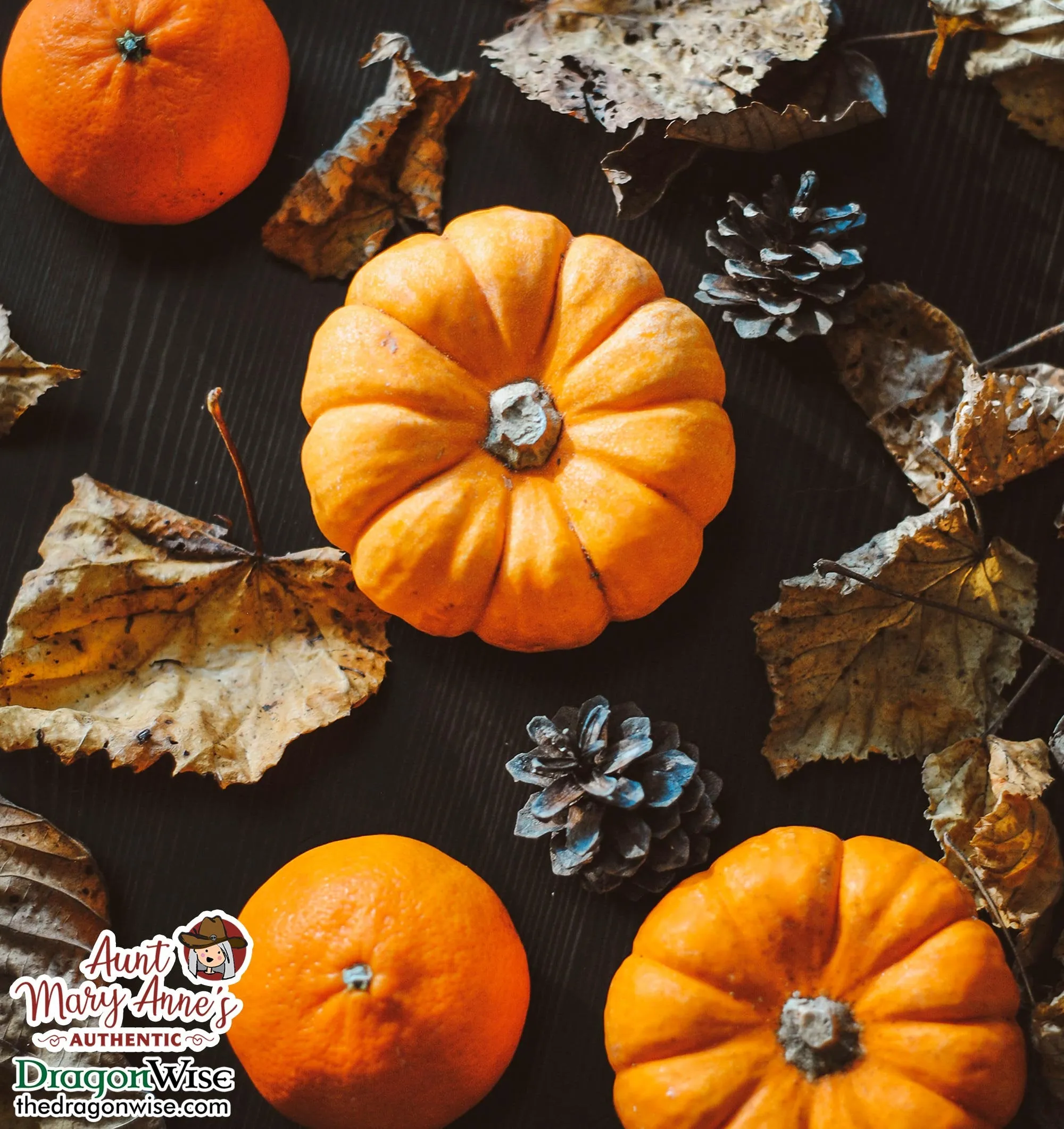 Natural Vegan Body Lotion, Pumpkin Spice Cake - Limited Edition
