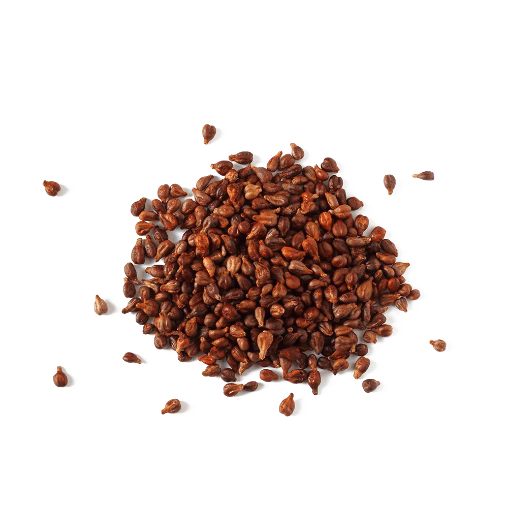 Organic Grapeseed Oil