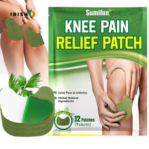 PAINGUARD Portable Wormwood Knee Plaster