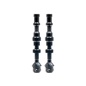 Stans Notubes Tubeless Exo Core Valve