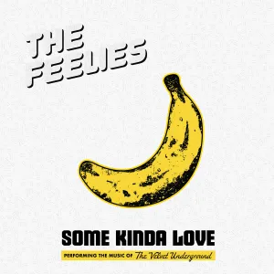 THE FEELIES 'Some Kinda Love: Performing The Velvet Underground' 2LP
