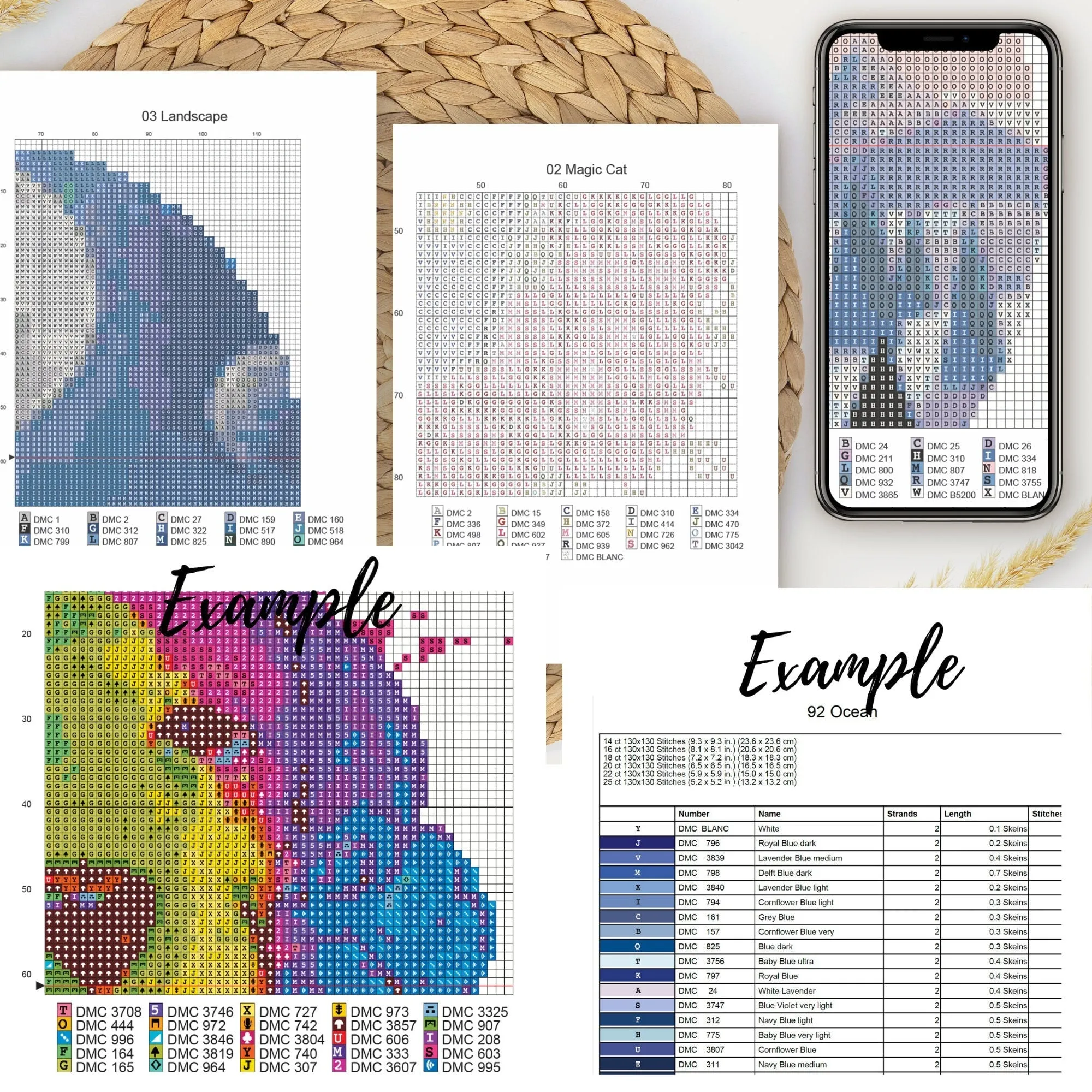Xray Cross Stitch Pattern #39